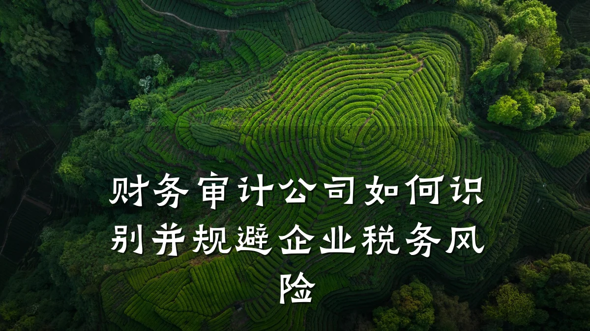 财务审计公司如何识别并规避企业税务风险