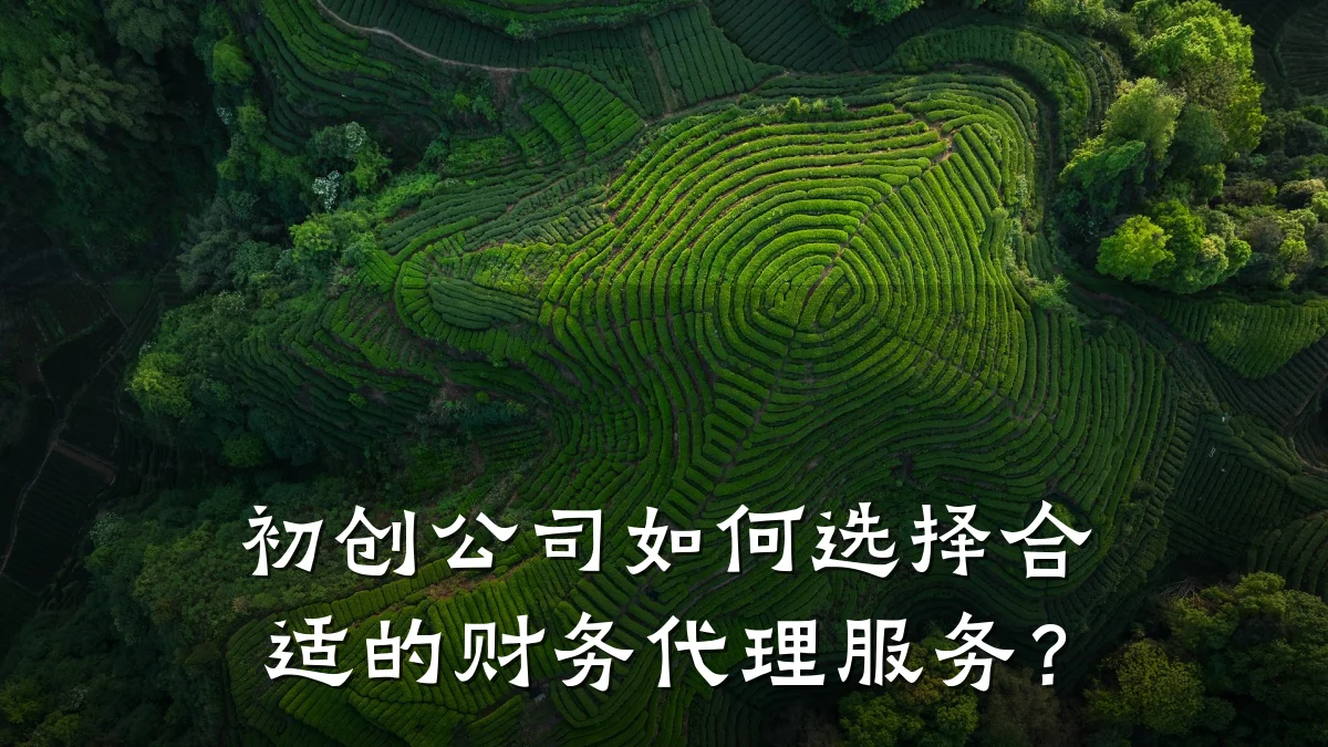 初创公司如何选择合适的财务代理服务?