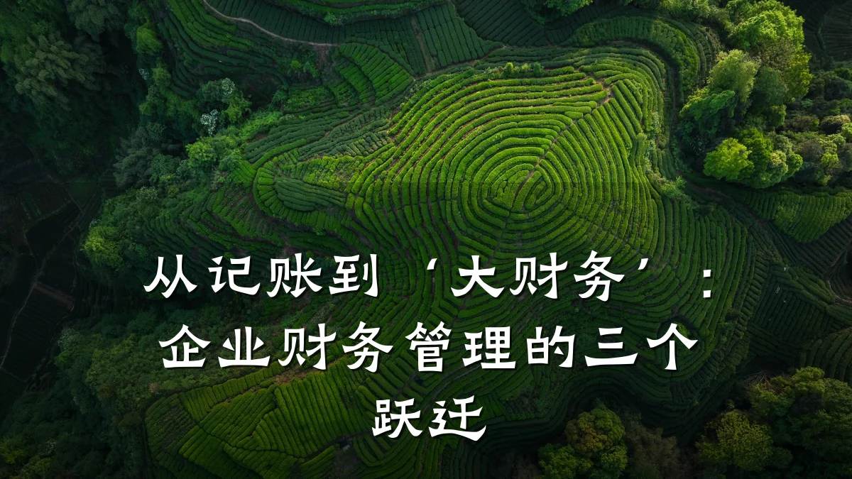 从记账到‘大财务’:企业财务管理的三个跃迁