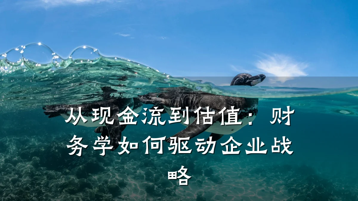 从现金流到估值:财务学如何驱动企业战略