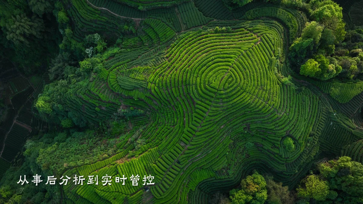 从事后分析到实时管控