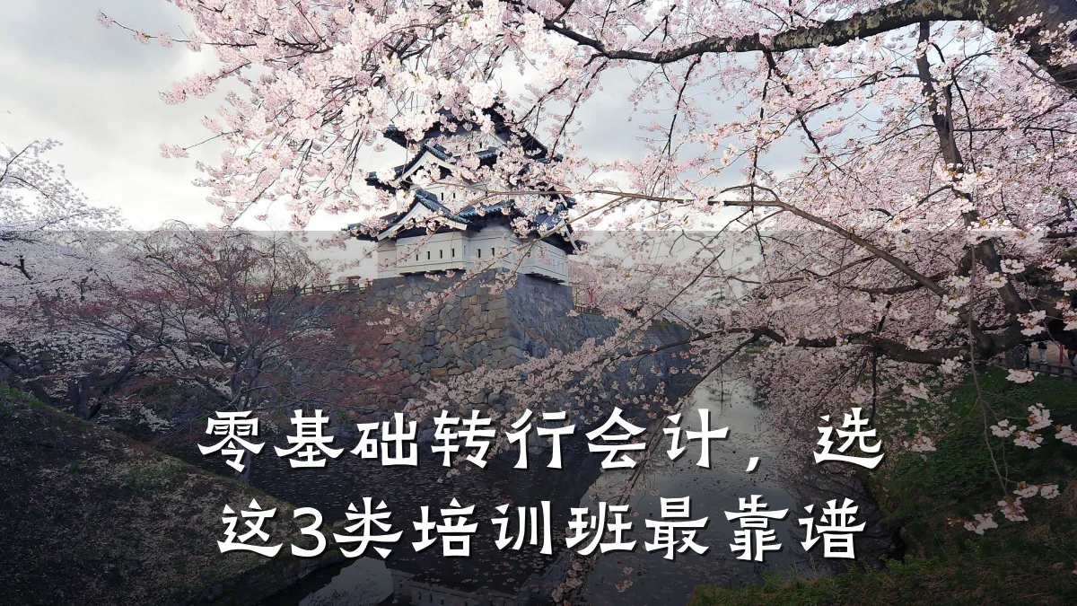 零基础转行会计,选这3类培训班最靠谱