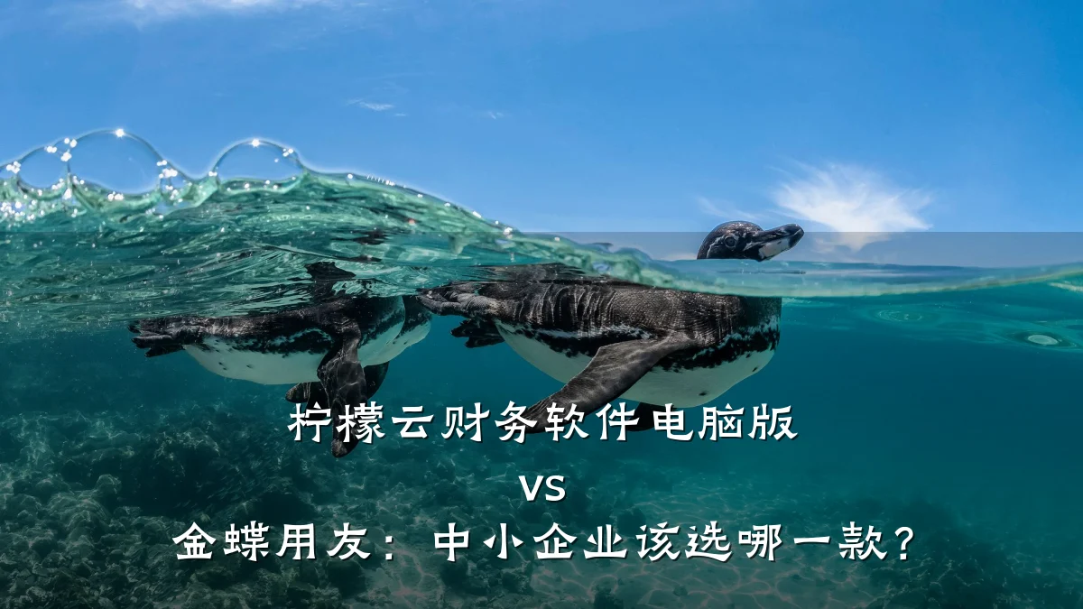 柠檬云财务软件电脑版 vs 金蝶用友:中小企业该选哪一款?