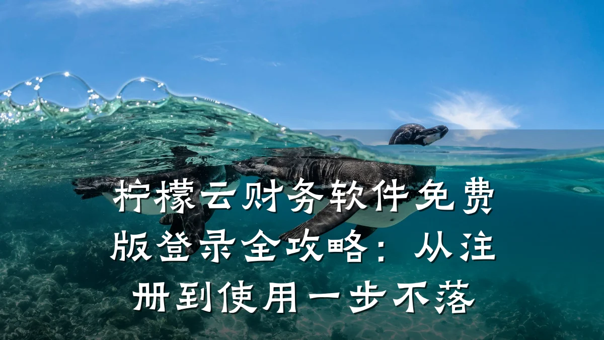 柠檬云财务软件免费版登录全攻略:从注册到使用一步不落