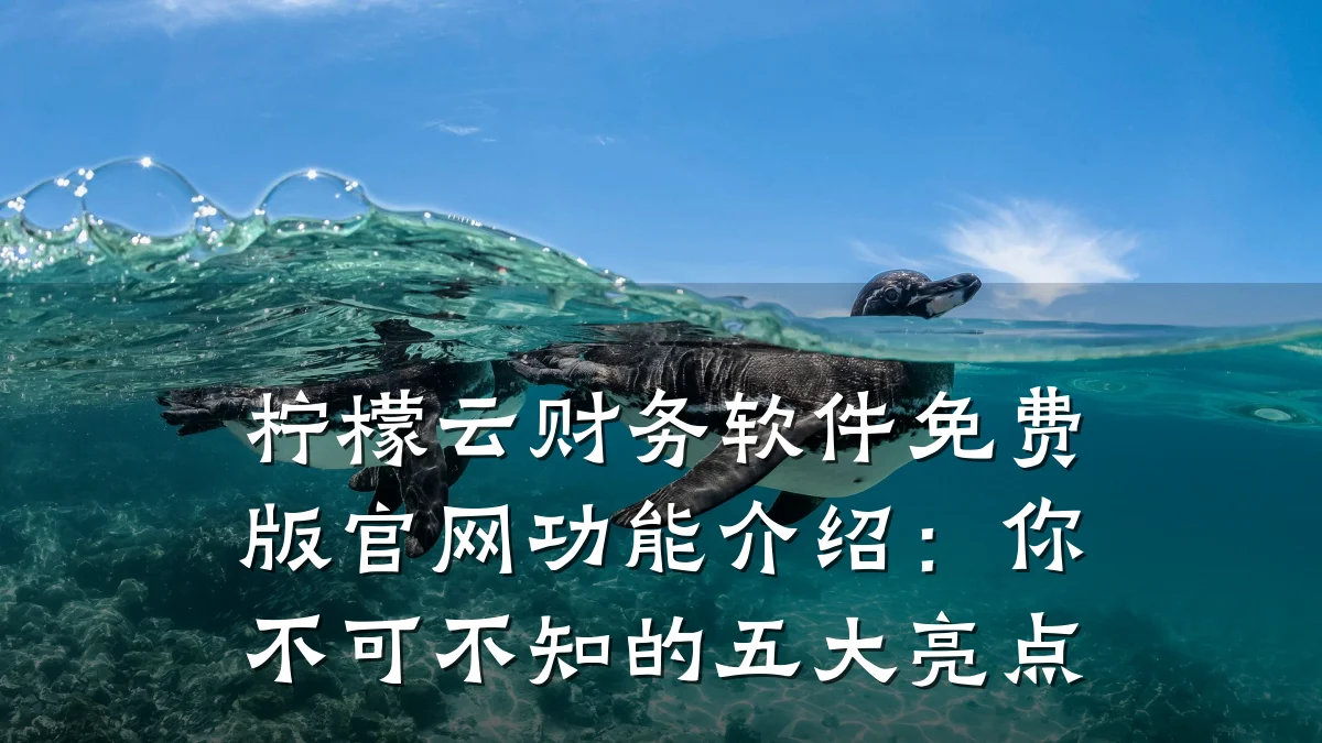 柠檬云财务软件免费版官网功能介绍：你不可不知的五大亮点