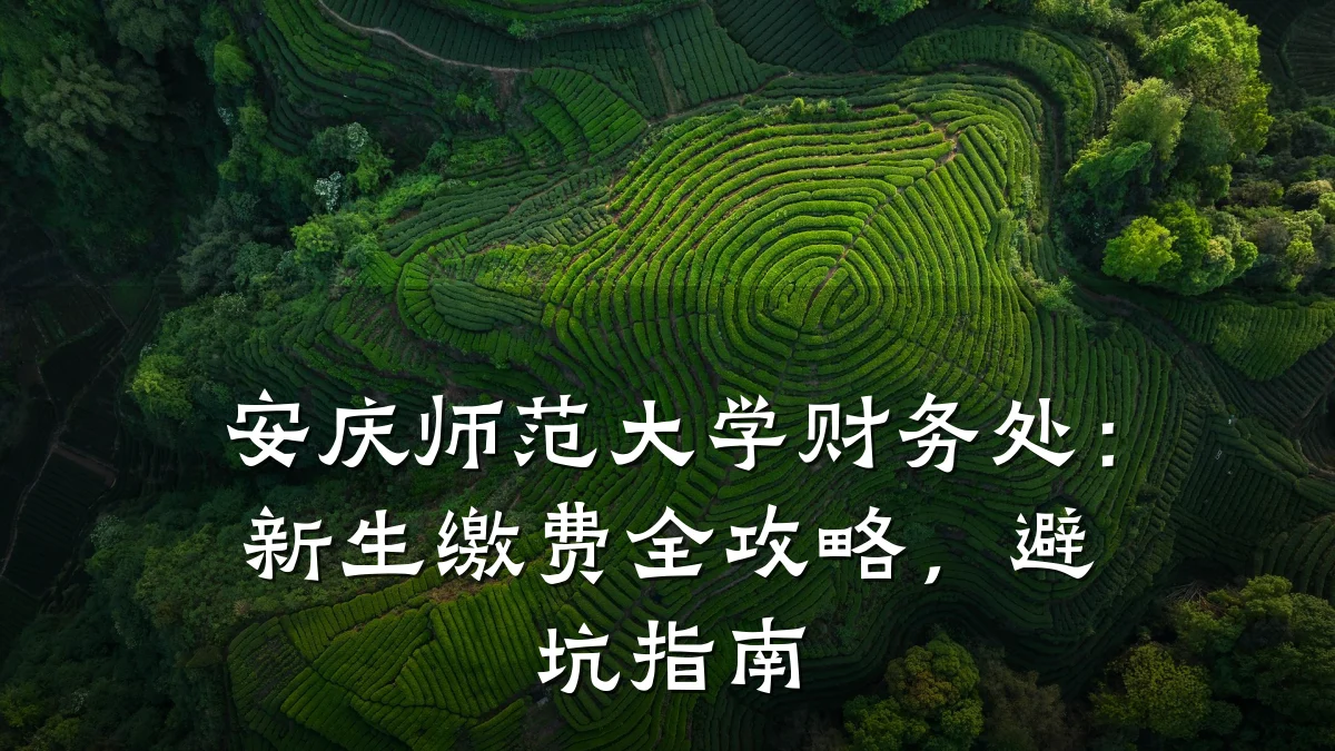 安庆师范大学财务处:新生缴费全攻略,避坑指南