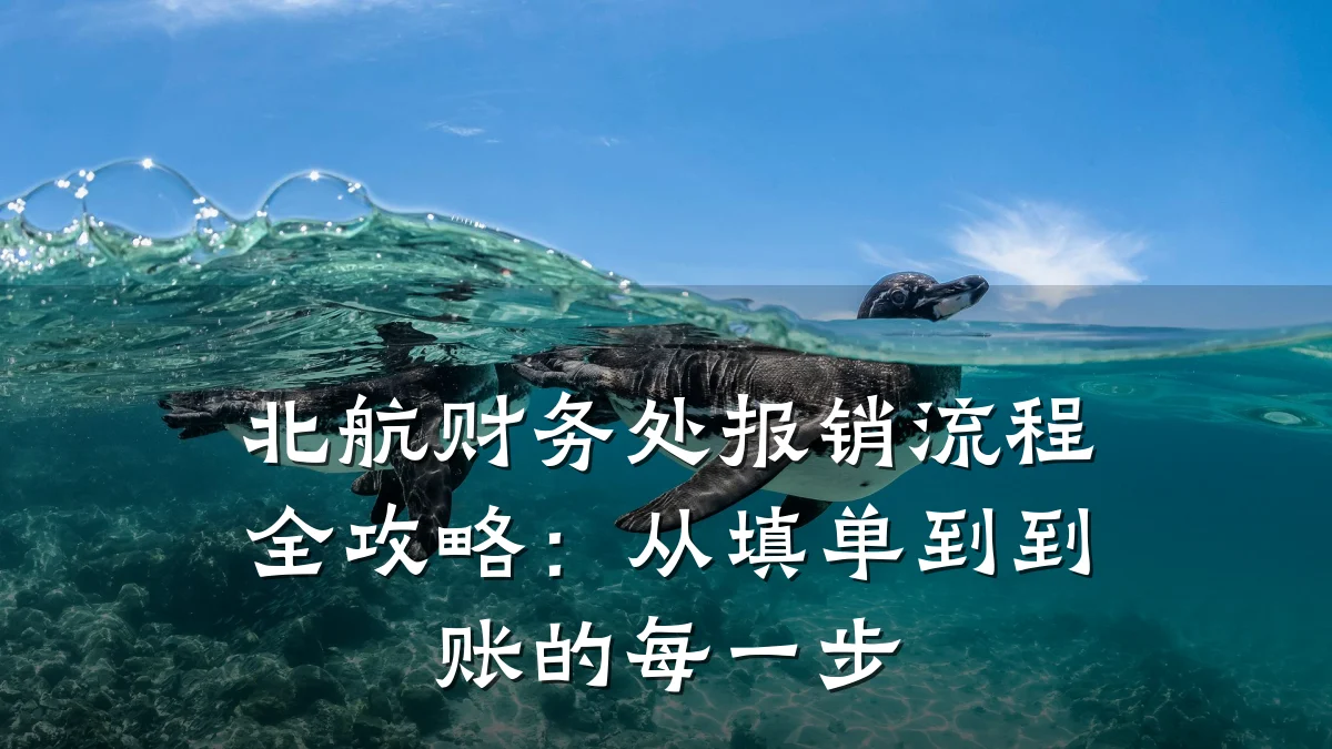 北航财务处报销流程全攻略:从填单到到账的每一步