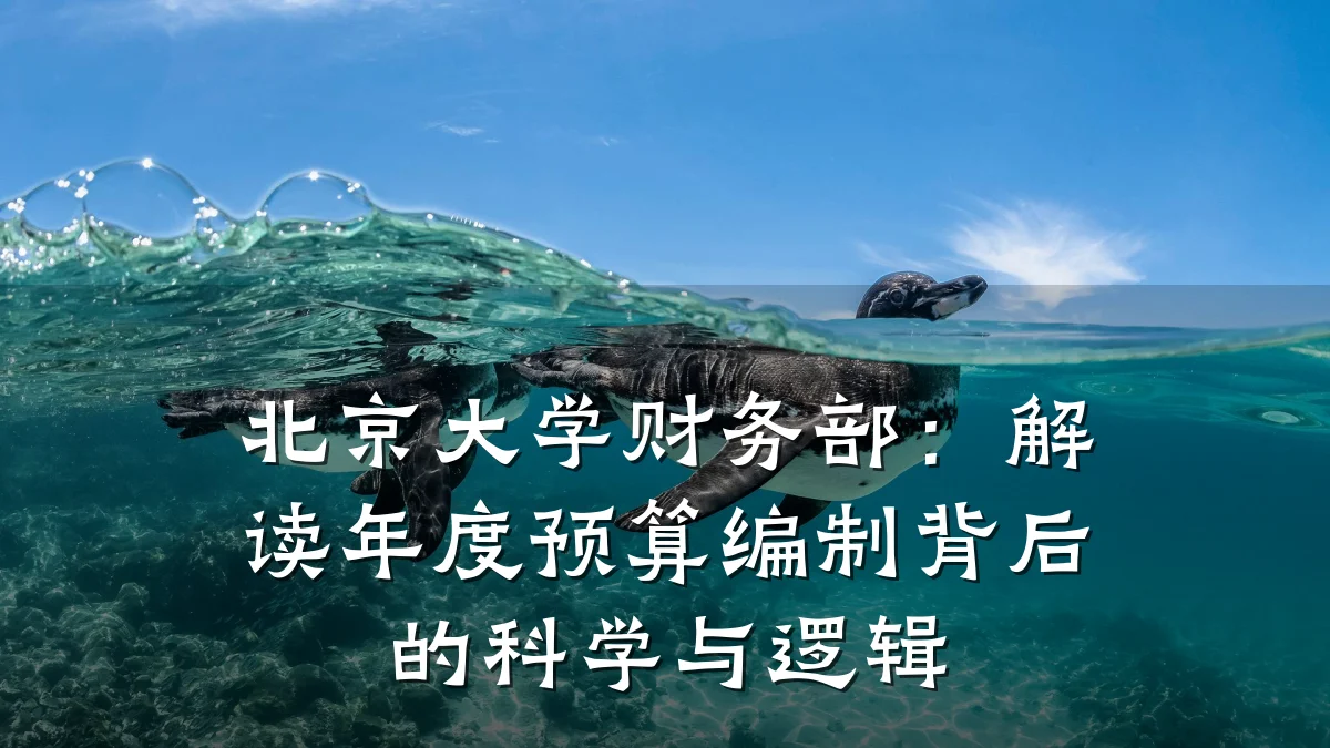 北京大学财务部:解读年度预算编制背后的科学与逻辑