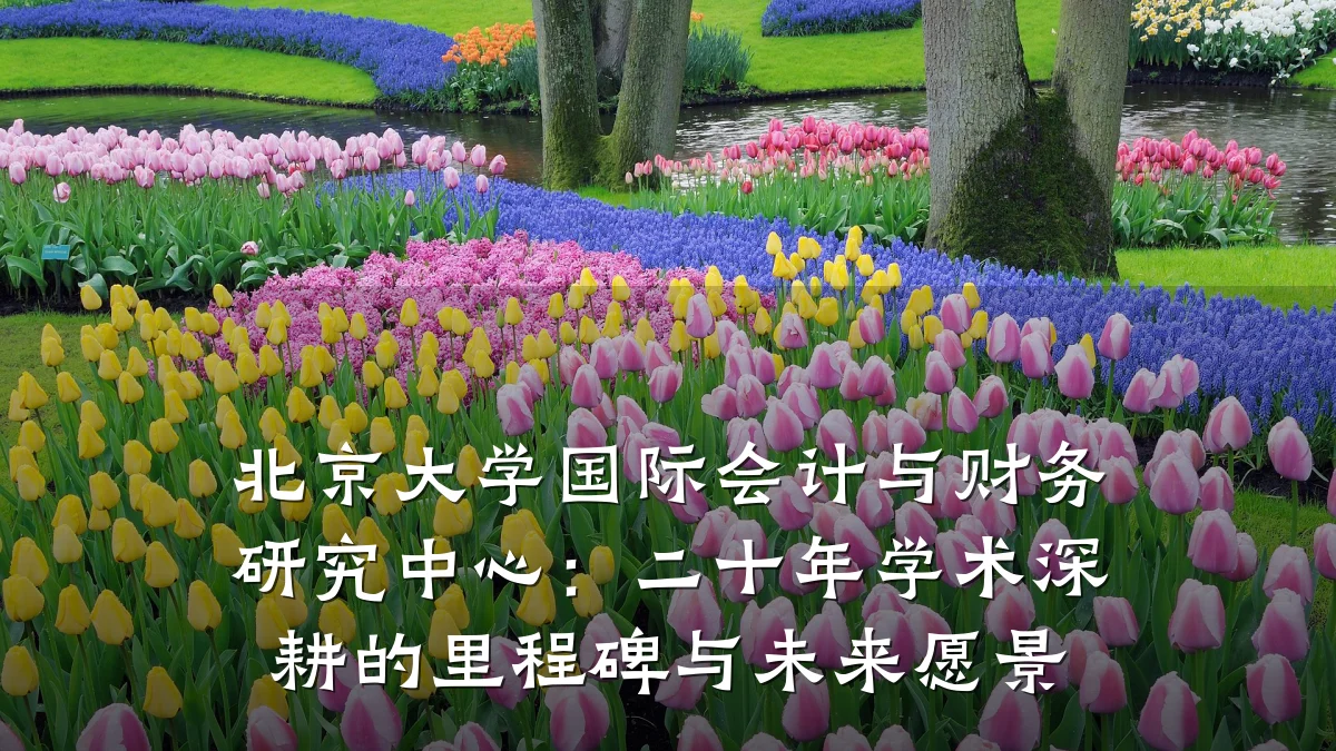 北京大学国际会计与财务研究中心:二十年学术深耕的里程碑与未来愿景