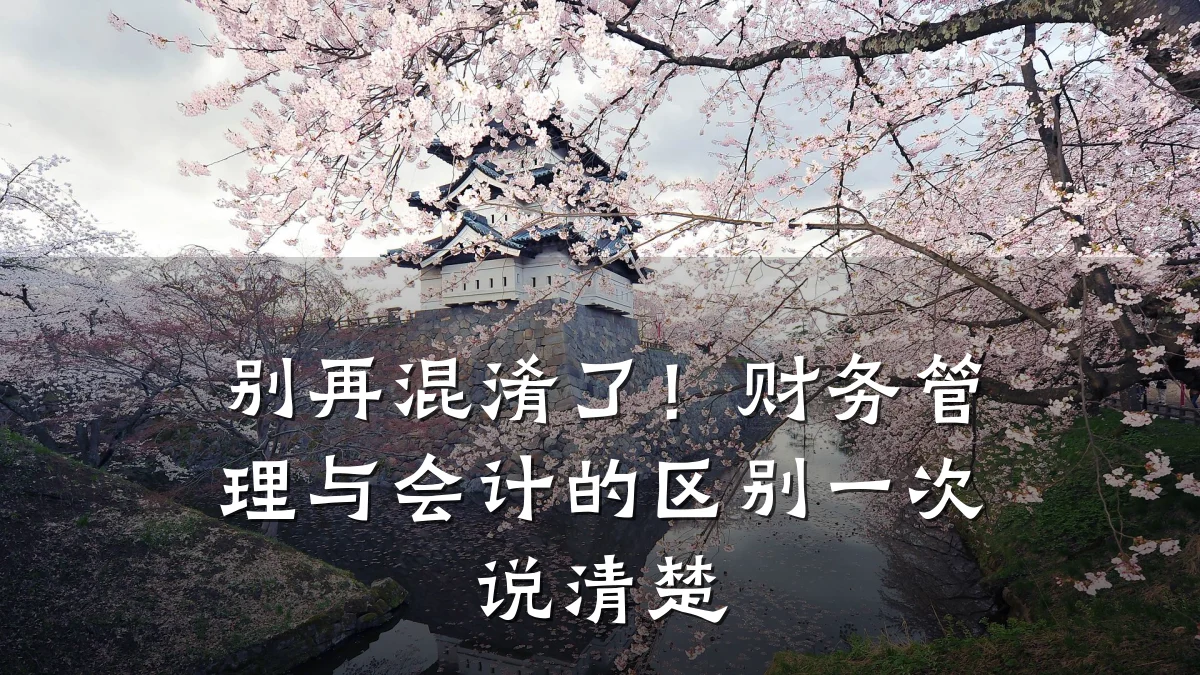 别再混淆了!财务管理与会计的区别一次说清楚