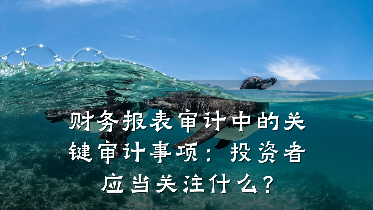 财务报表审计中的关键审计事项:投资者应当关注什么?