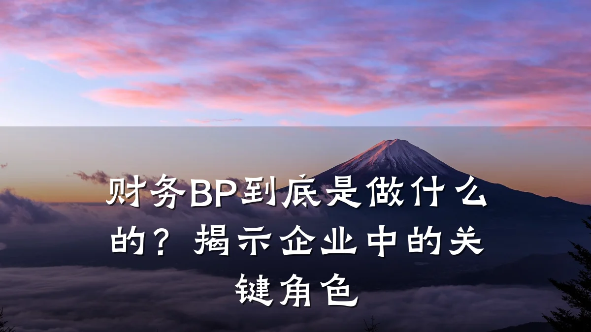 财务BP到底是做什么的?揭示企业中的关键角色