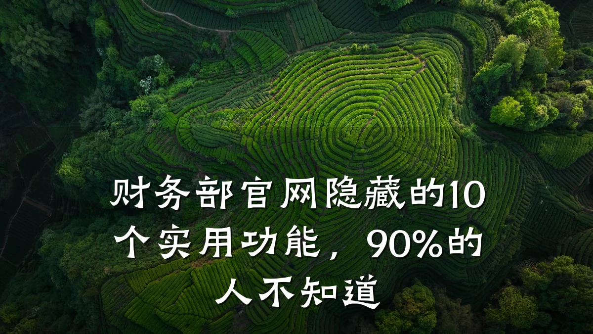 财务部官网隐藏的10个实用功能,90%的人不知道