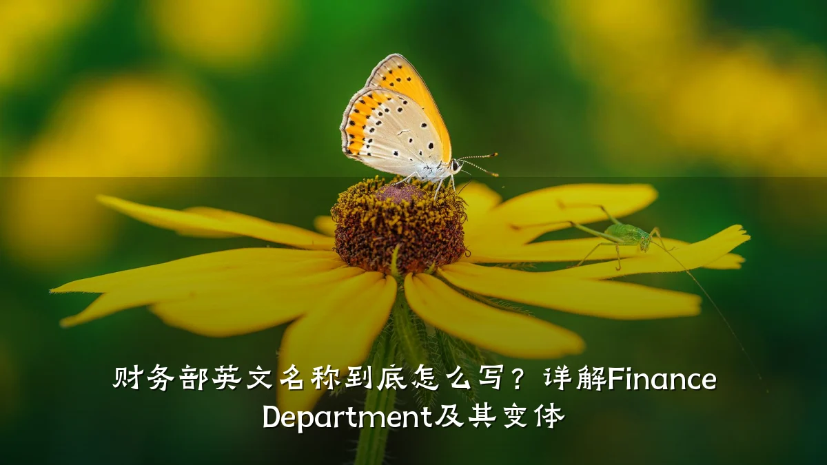 财务部英文名称到底怎么写?详解Finance Department及其变体