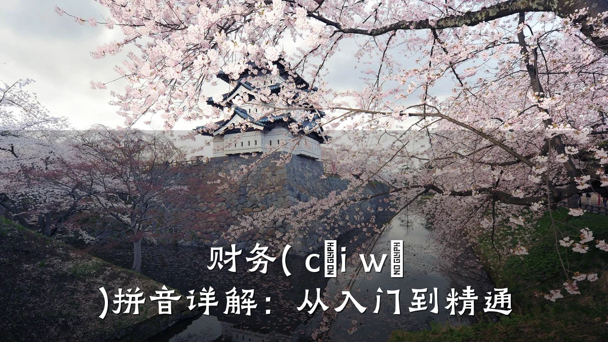 财务( cái wù )拼音详解:从入门到精通
