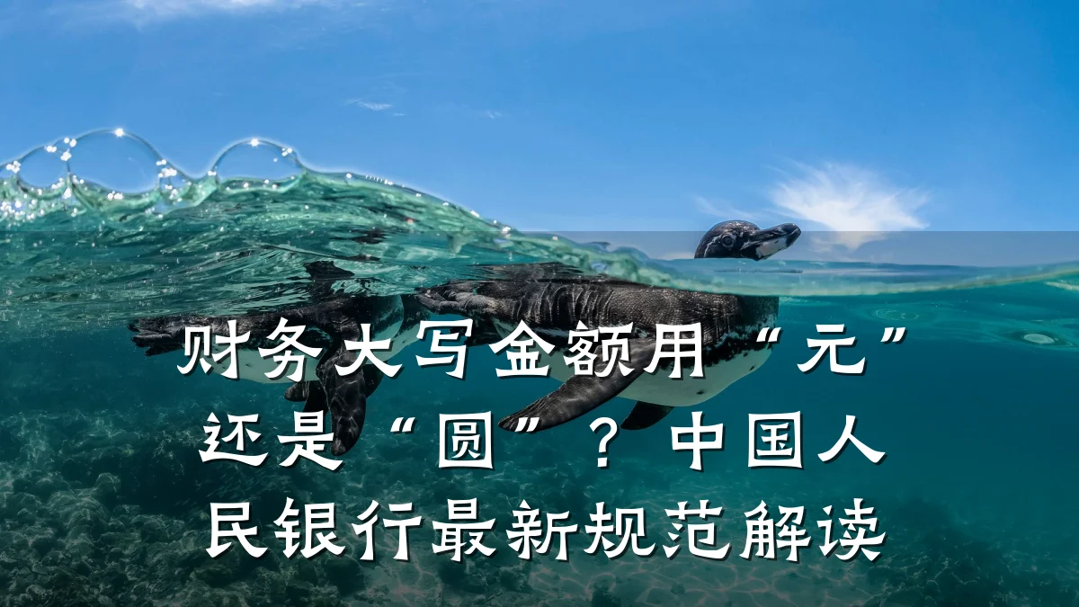 财务大写金额用“元”还是“圆”?中国人民银行最新规范解读
