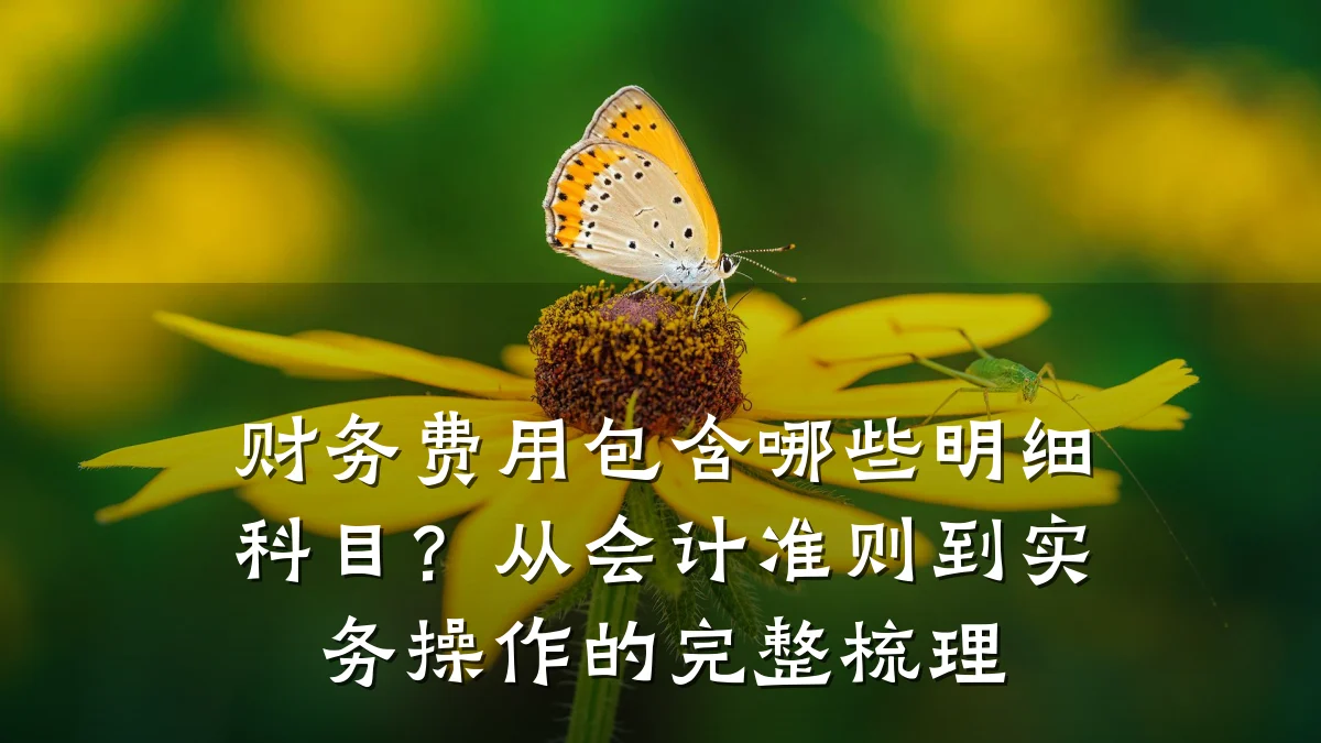 财务费用包含哪些明细科目？从会计准则到实务操作的完整梳理