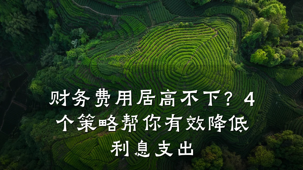 财务费用居高不下?4个策略帮你有效降低利息支出
