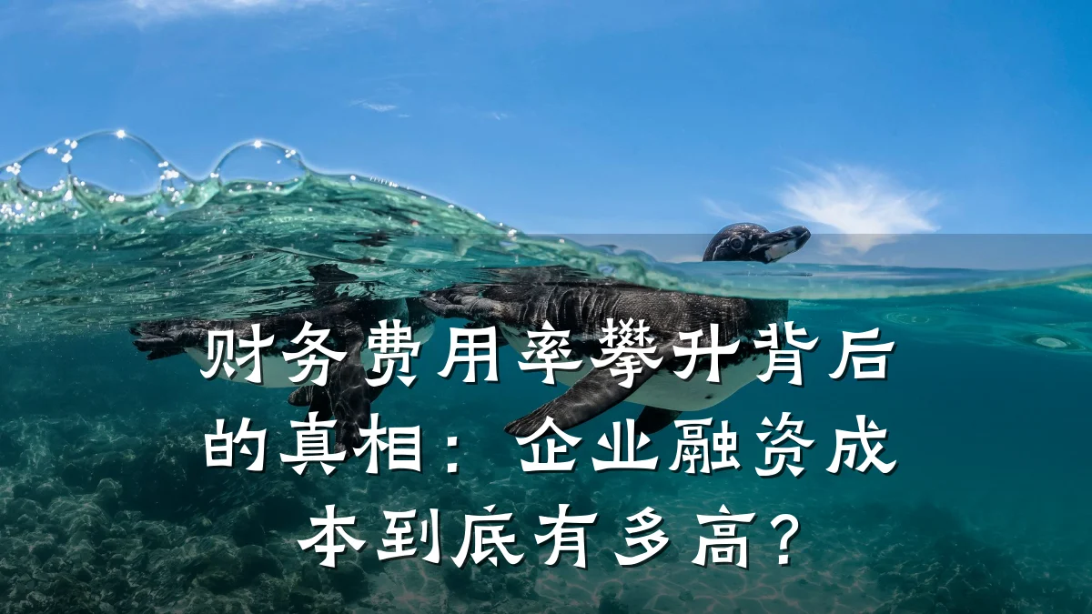 财务费用率攀升背后的真相：企业融资成本到底有多高？