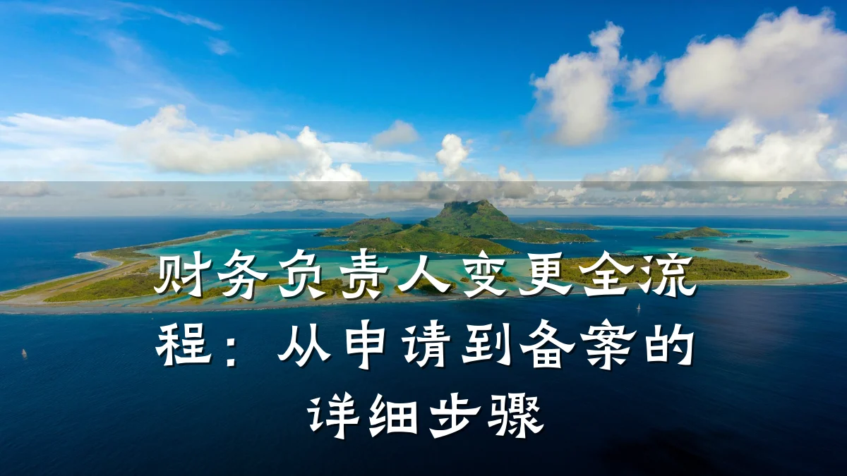 财务负责人变更全流程:从申请到备案的详细步骤