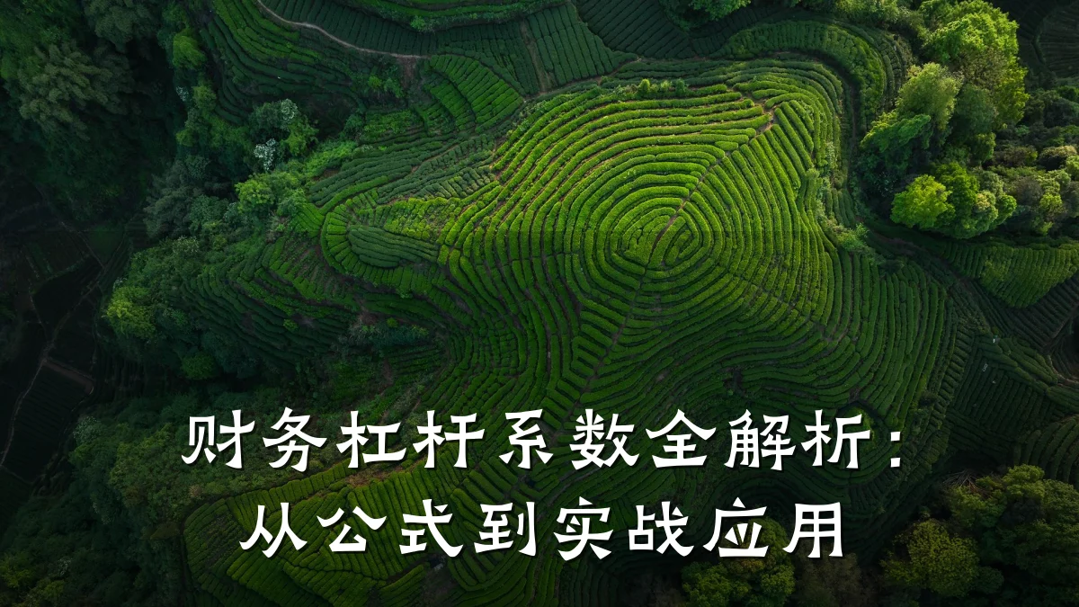 财务杠杆系数全解析:从公式到实战应用