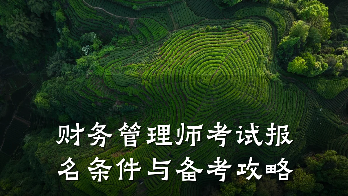财务管理师考试报名条件与备考攻略
