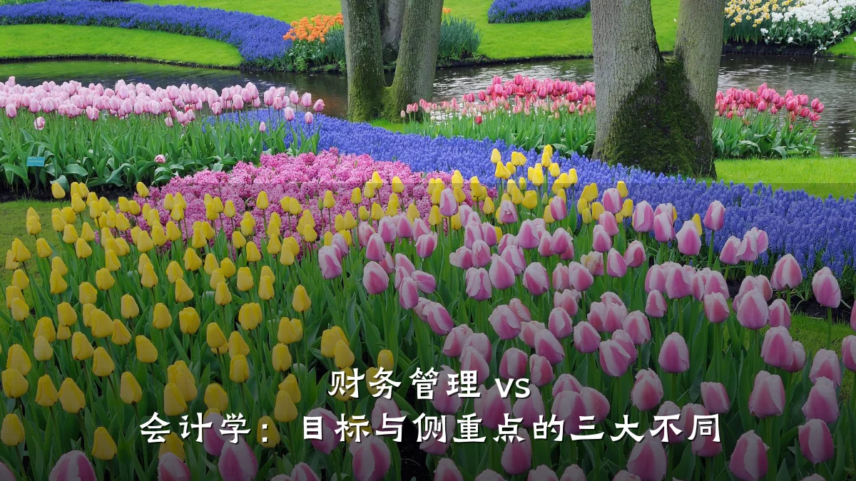 财务管理 vs 会计学:目标与侧重点的三大不同