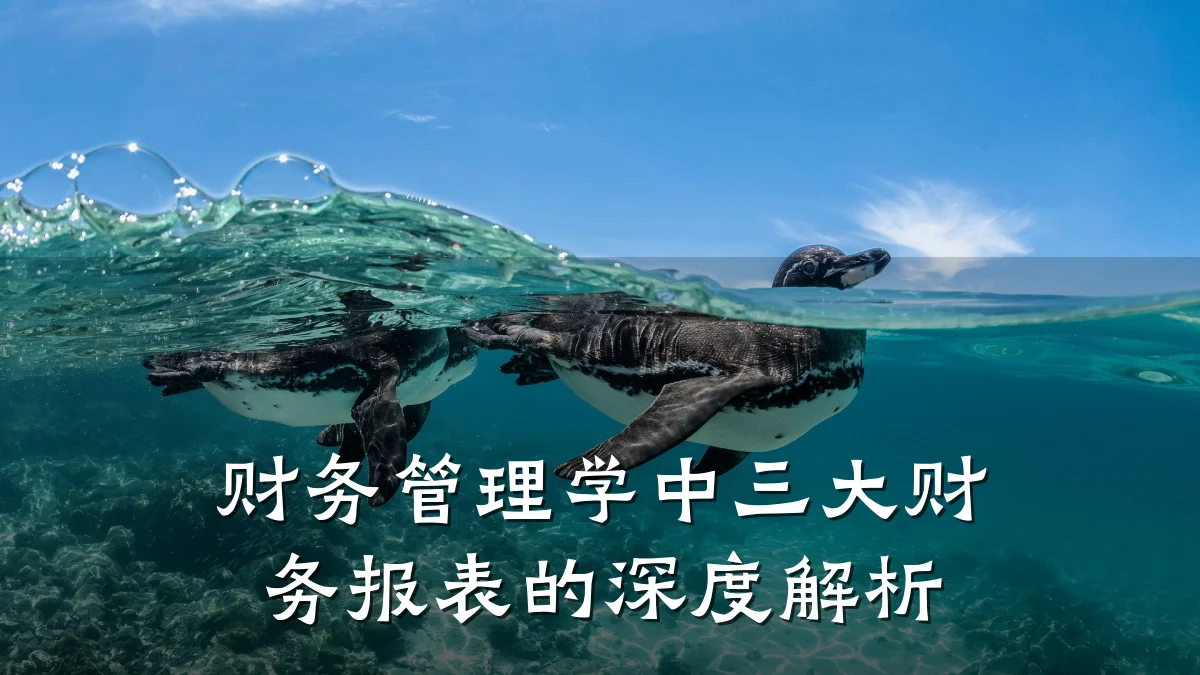 财务管理学中三大财务报表的深度解析