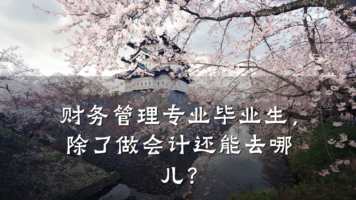 财务管理专业毕业生,除了做会计还能去哪儿?