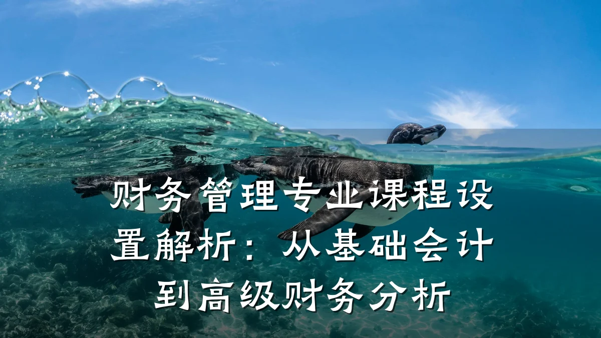 财务管理专业课程设置解析:从基础会计到高级财务分析