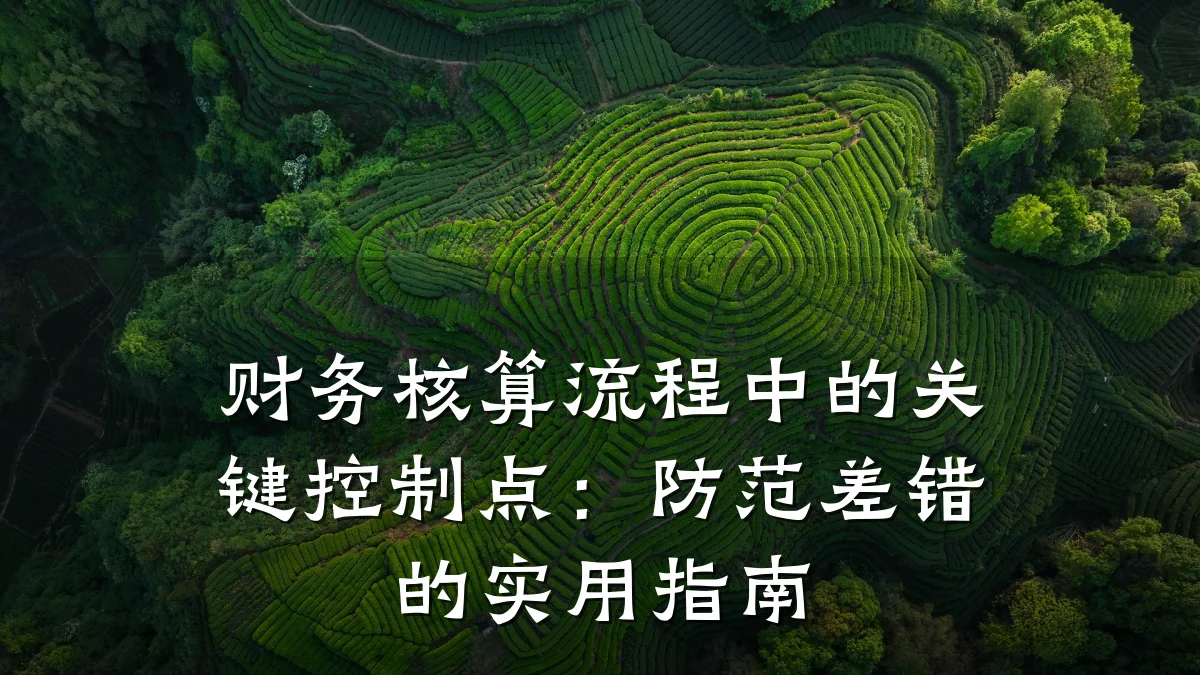 财务核算流程中的关键控制点:防范差错的实用指南