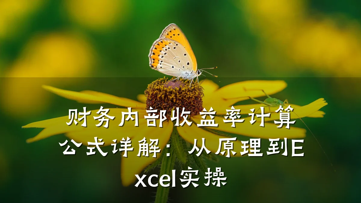财务内部收益率计算公式详解:从原理到Excel实操