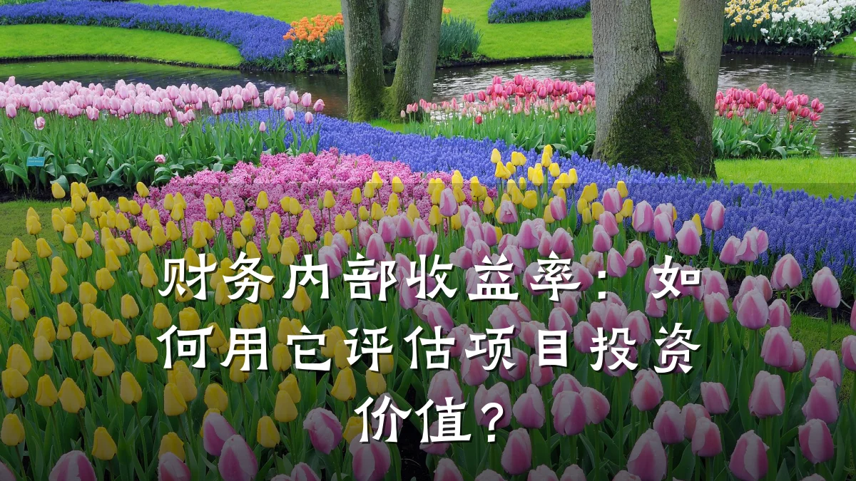 财务内部收益率：如何用它评估项目投资价值？