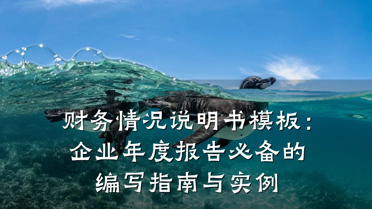财务情况说明书模板:企业年度报告必备的编写指南与实例