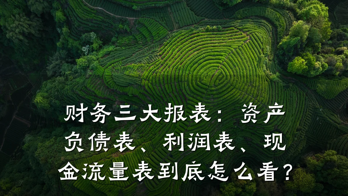 财务三大报表:资产负债表、利润表、现金流量表到底怎么看?