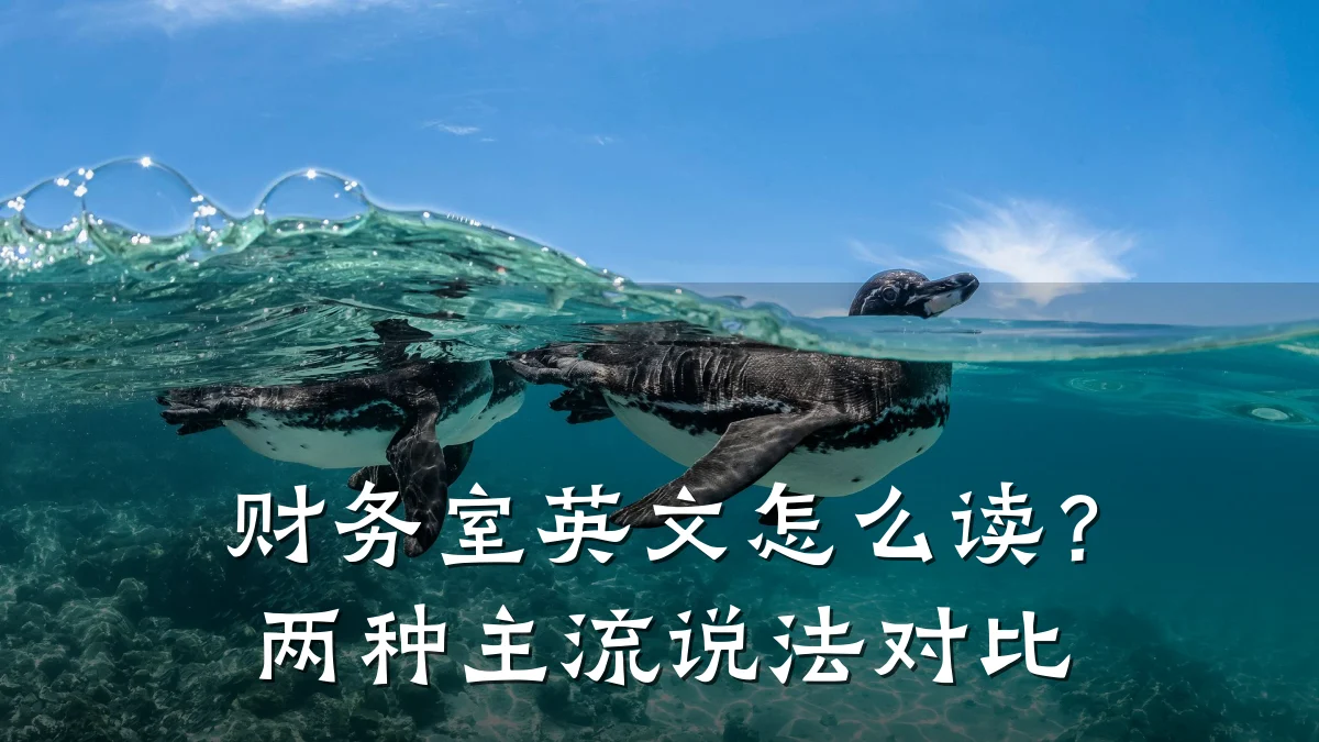 财务室英文怎么读?两种主流说法对比