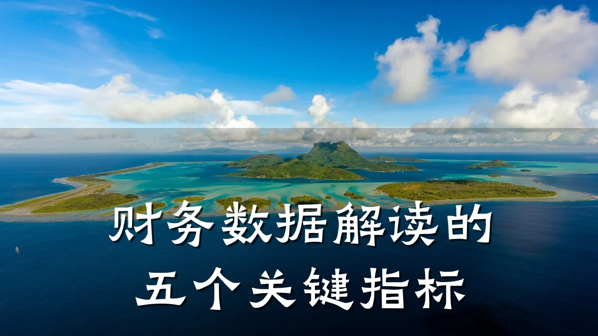 财务数据解读的五个关键指标