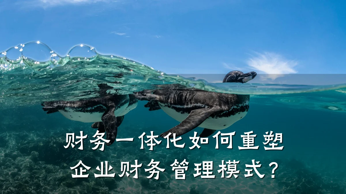 财务一体化如何重塑企业财务管理模式?