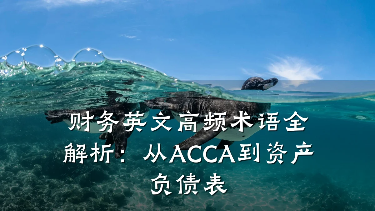 财务英文高频术语全解析:从ACCA到资产负债表