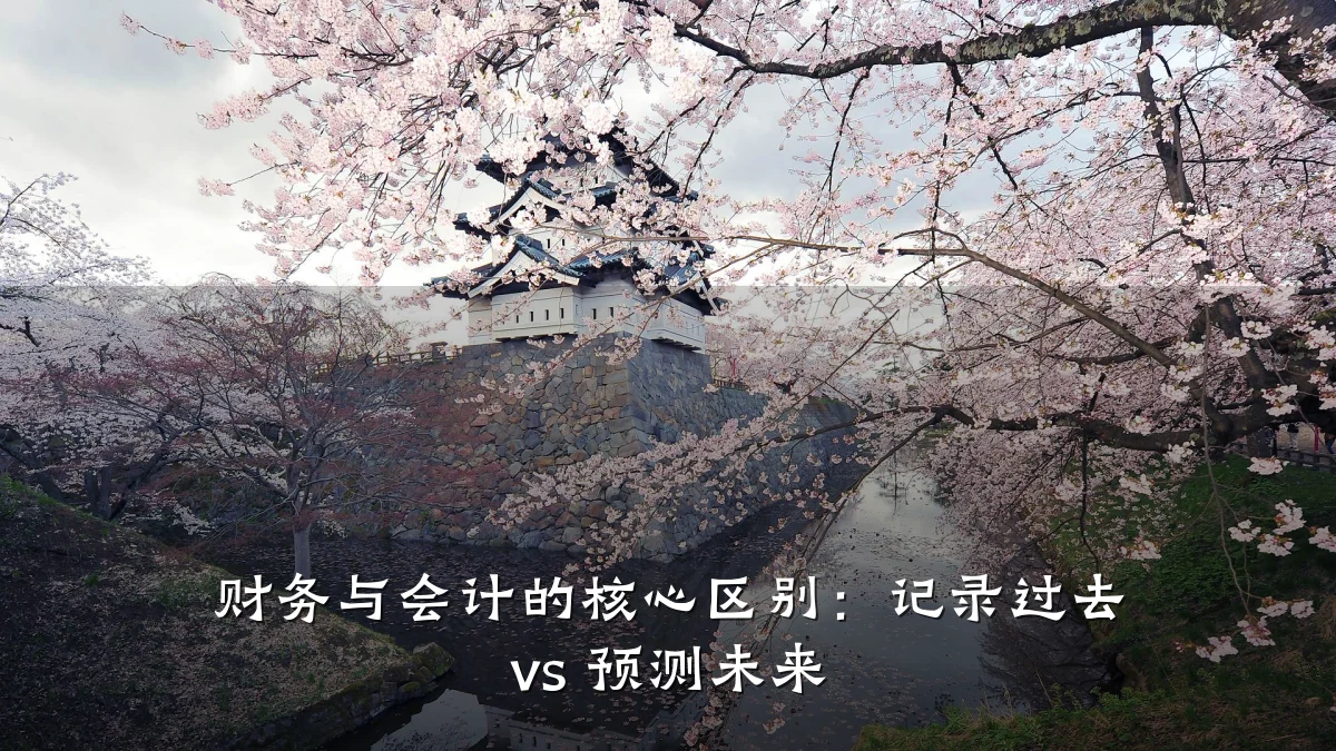 财务与会计的核心区别:记录过去 vs 预测未来