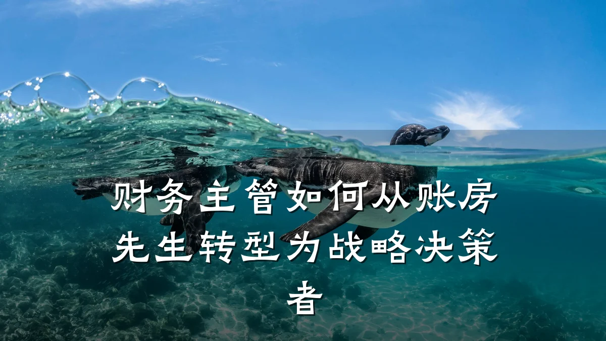 财务主管如何从账房先生转型为战略决策者