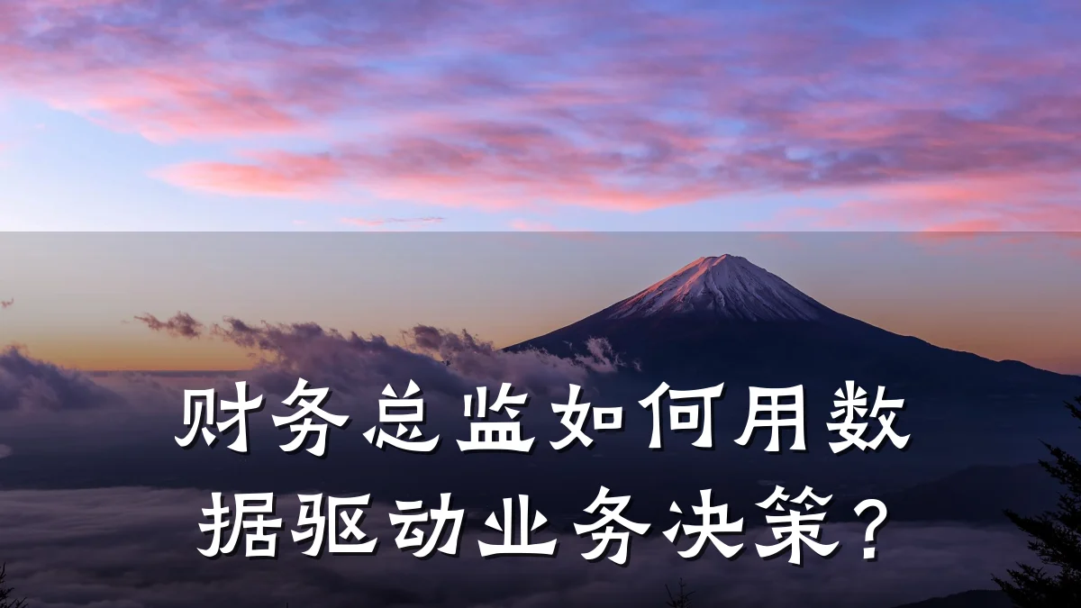 财务总监如何用数据驱动业务决策?