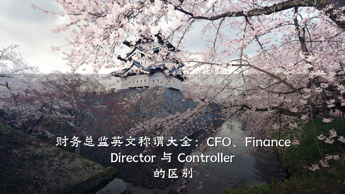 财务总监英文称谓大全:CFO、Finance Director 与 Controller 的区别