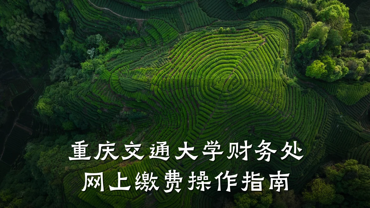 重庆交通大学财务处网上缴费操作指南