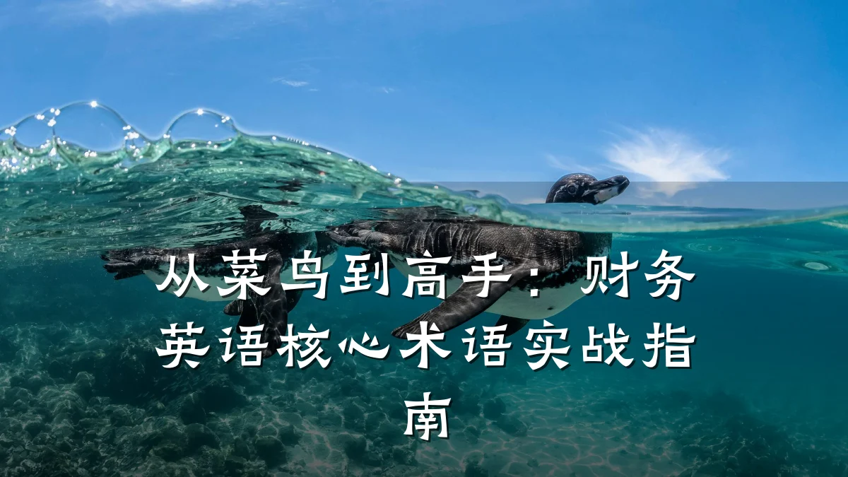 从菜鸟到高手:财务英语核心术语实战指南