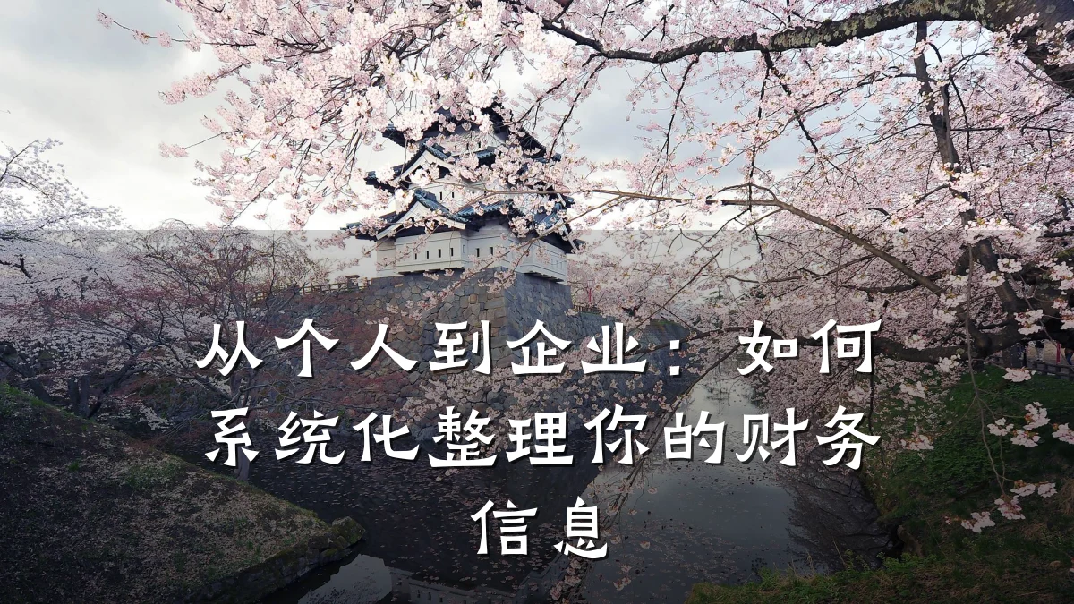 从个人到企业:如何系统化整理你的财务信息