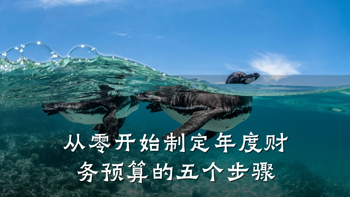 从零开始制定年度财务预算的五个步骤