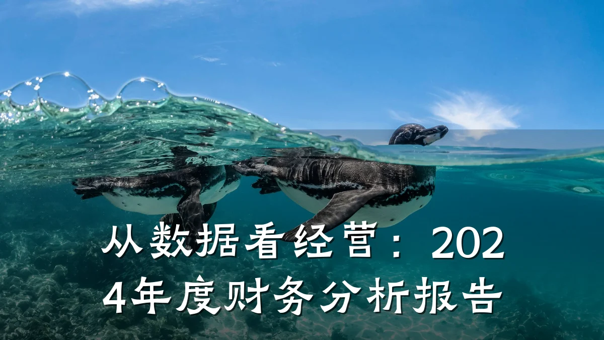 从数据看经营:2024年度财务分析报告