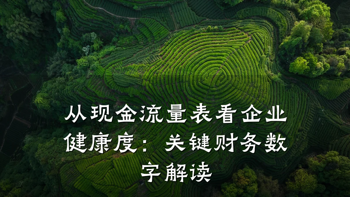 从现金流量表看企业健康度:关键财务数字解读