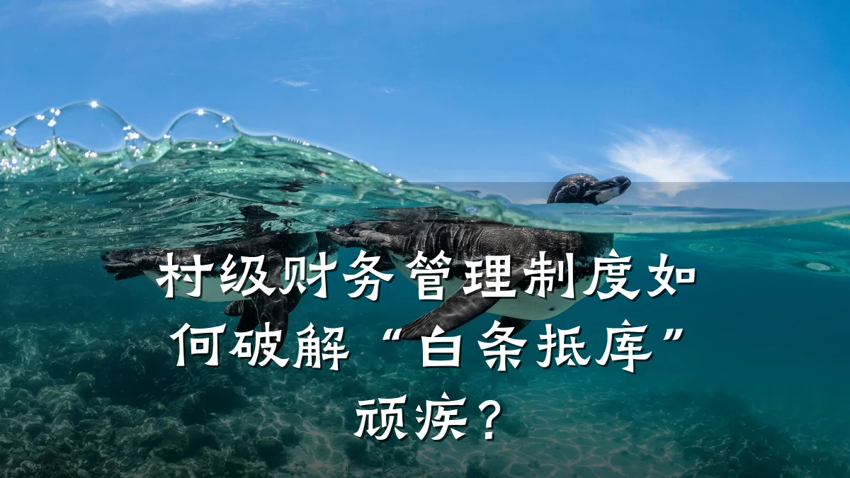 村级财务管理制度如何破解“白条抵库”顽疾?